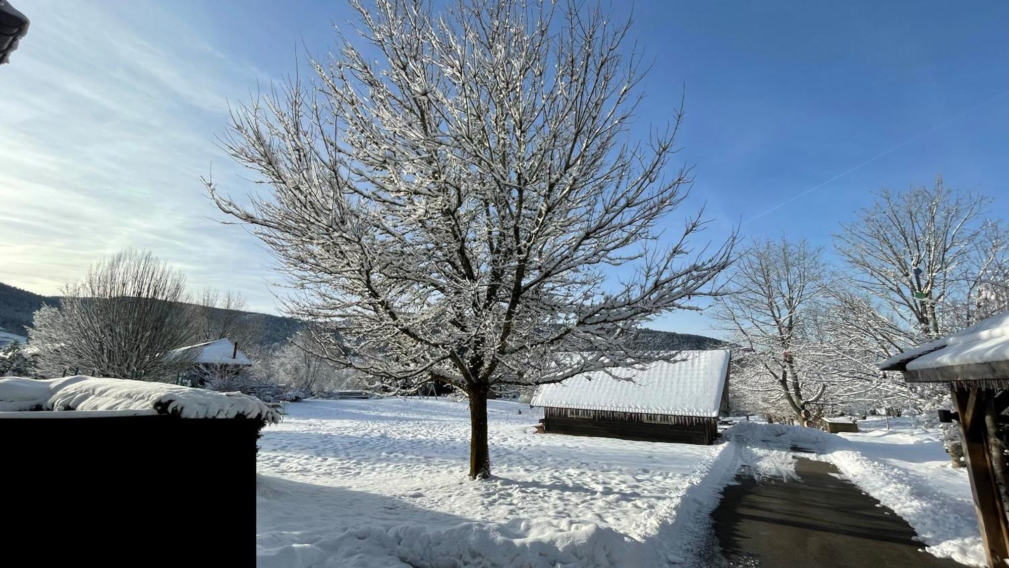 ※ Residence Pomme De Pin - Terrasse - Nature ※ Xonrupt-Longemer Exterior foto